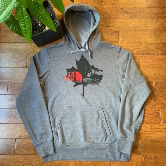 The North Face Hoodie - Picture 1 of 3